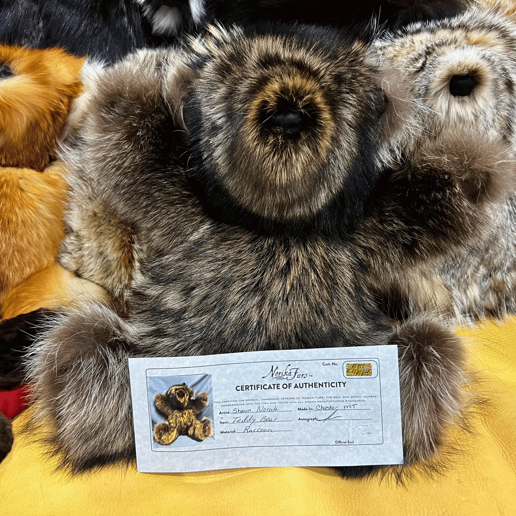 Autograph teddy discount bear