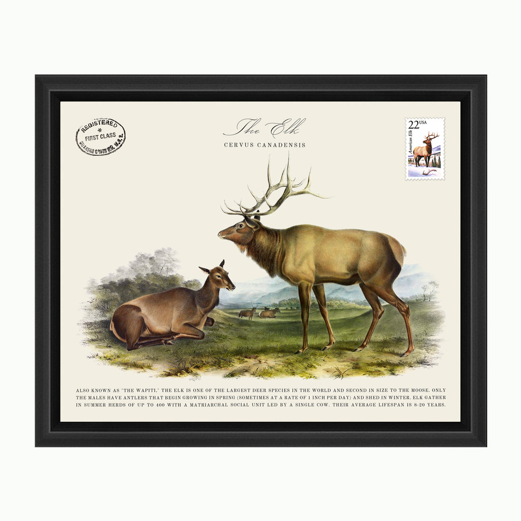 The Elk-Art-Montana Arts & Home