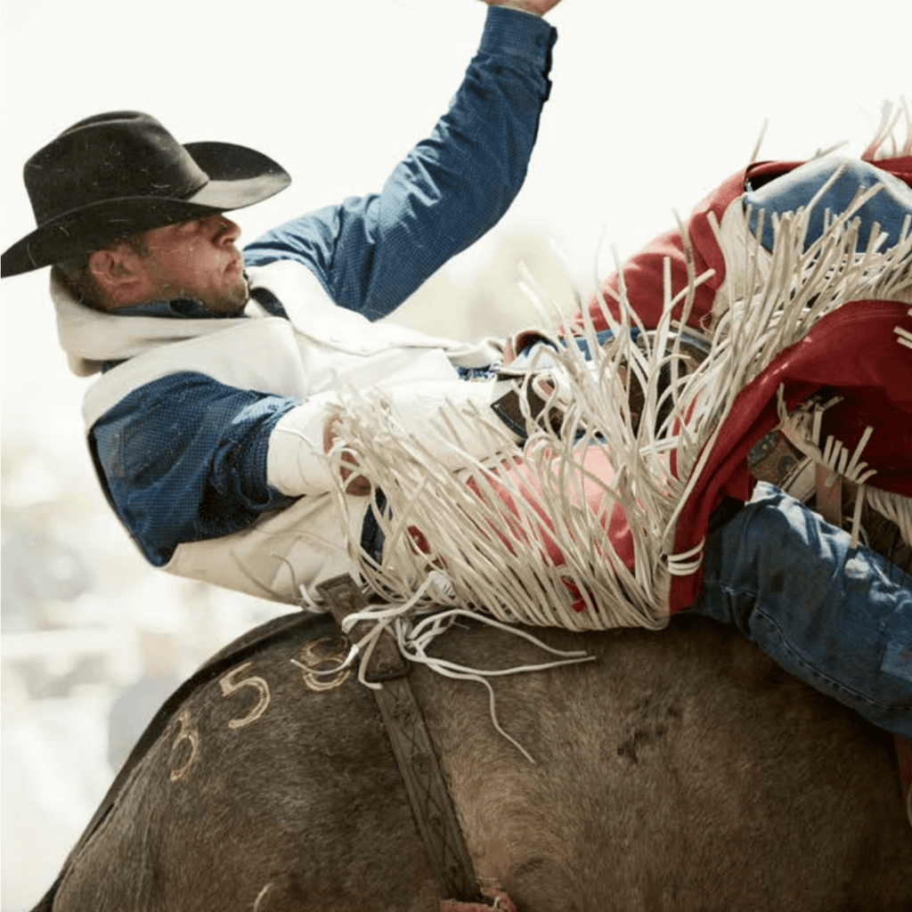 Ride'm-Montana Arts & Home