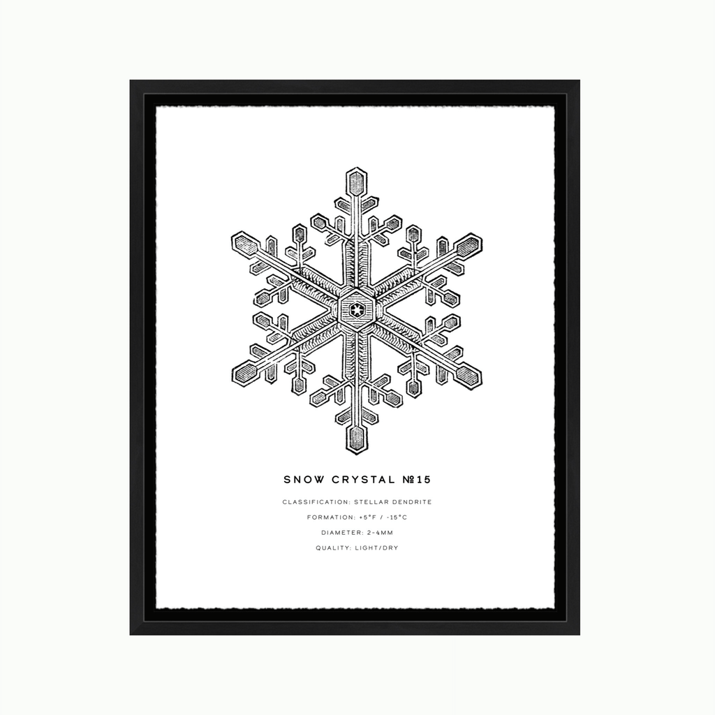 Snow Crystal #15-Art-Montana Arts & Home