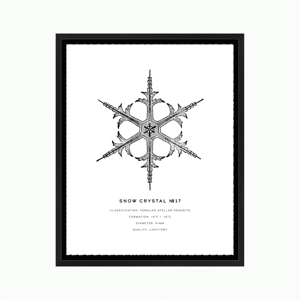 Snow Crystal #17-Art-Montana Arts & Home