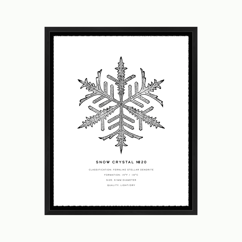 Snow Crystal #20-Art-Montana Arts & Home