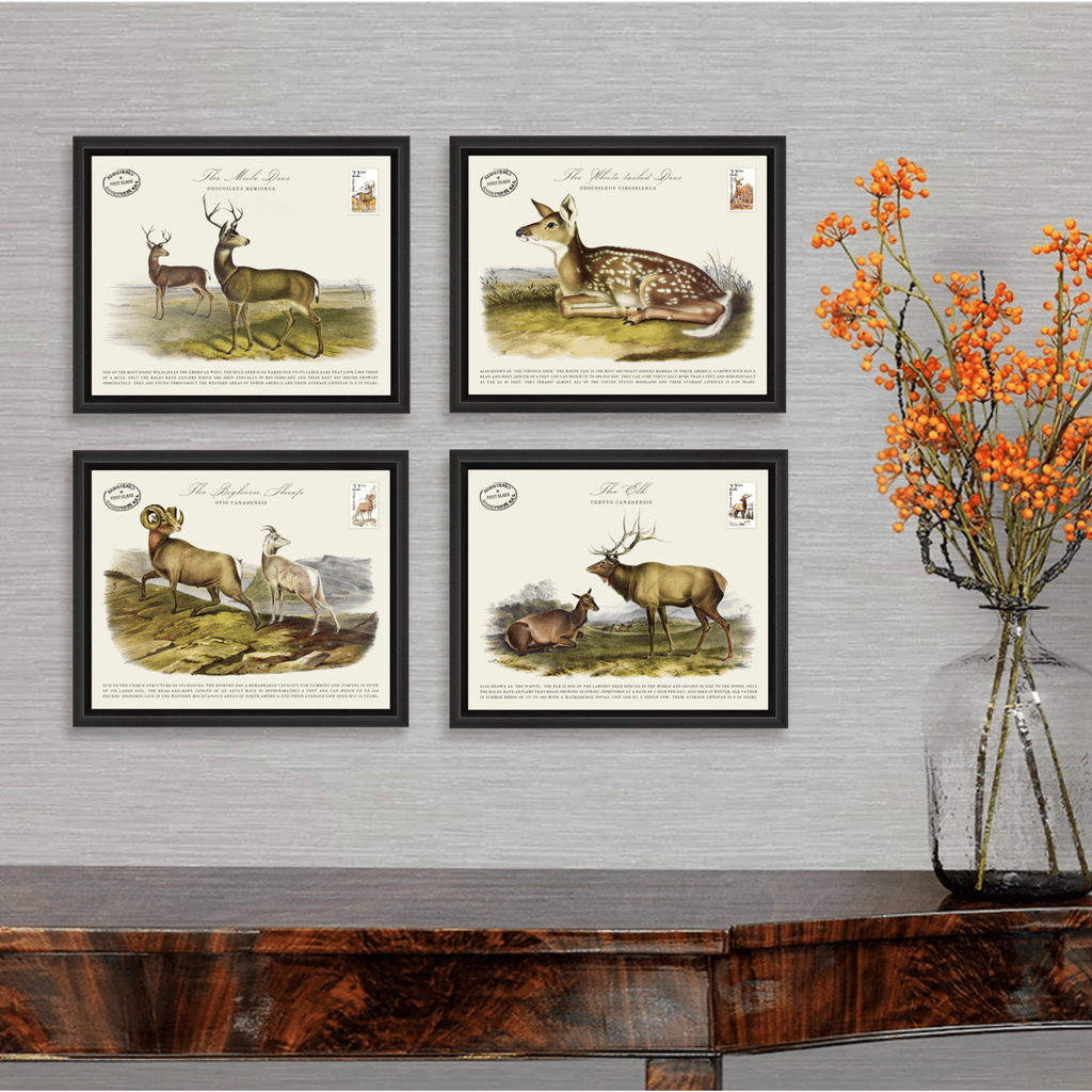 The White tailed Deer-Art-Montana Arts & Home