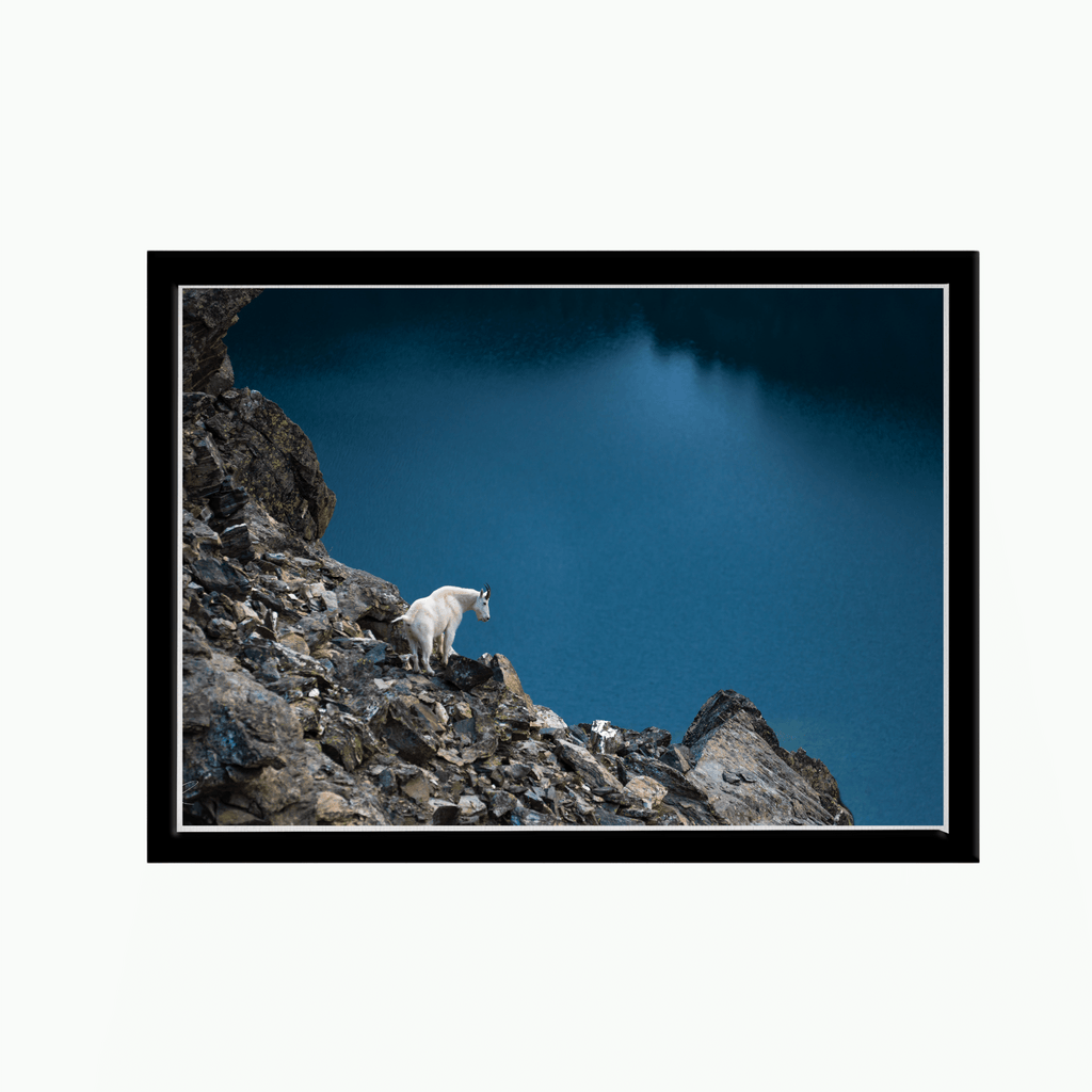 Goat Over Spanish Peaks-Art-Montana Arts & Home