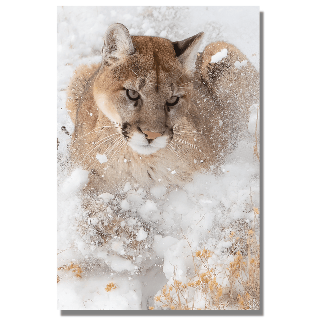 Snow Cat-Art-Montana Arts & Home