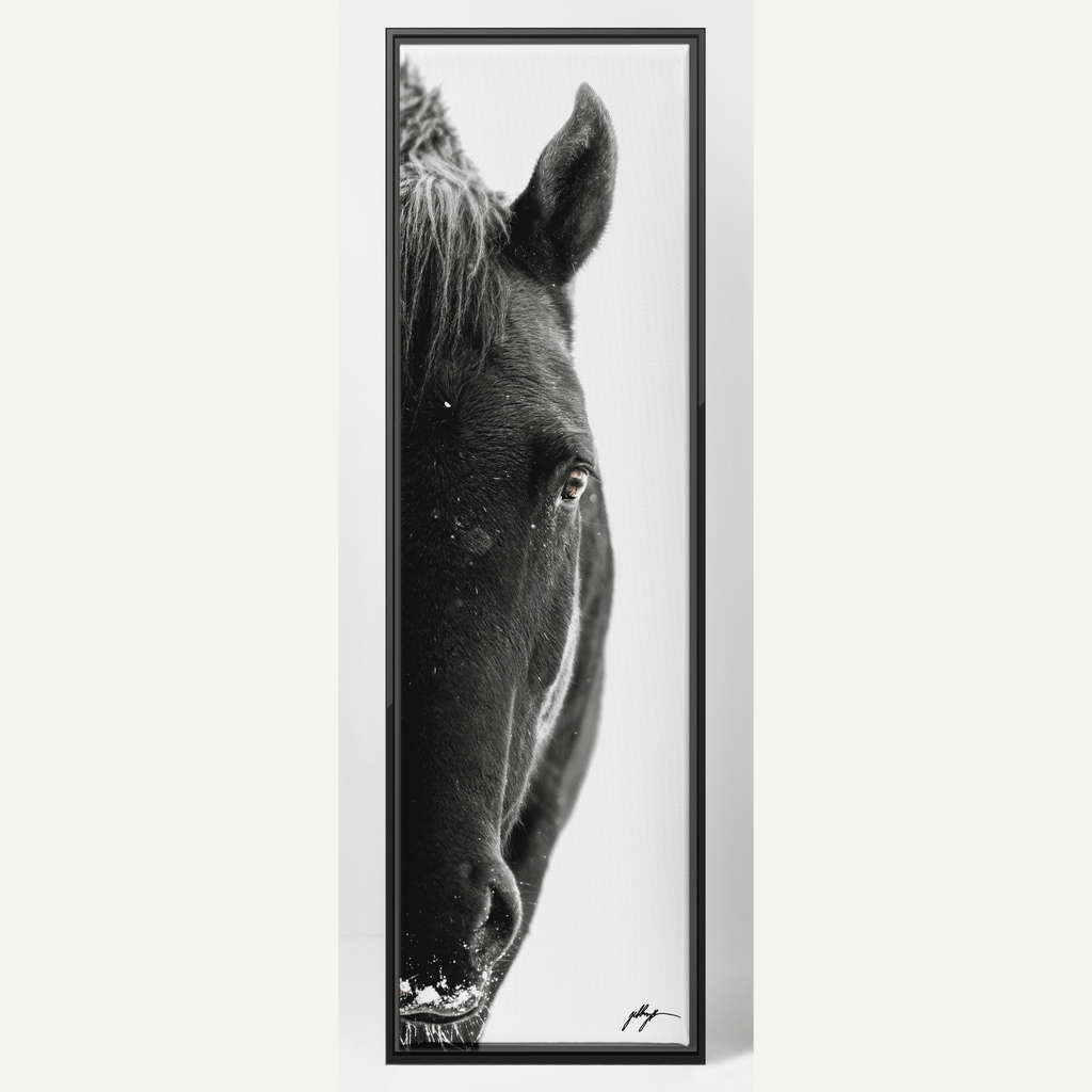 Black Stallion Photo-Montana Arts & Home