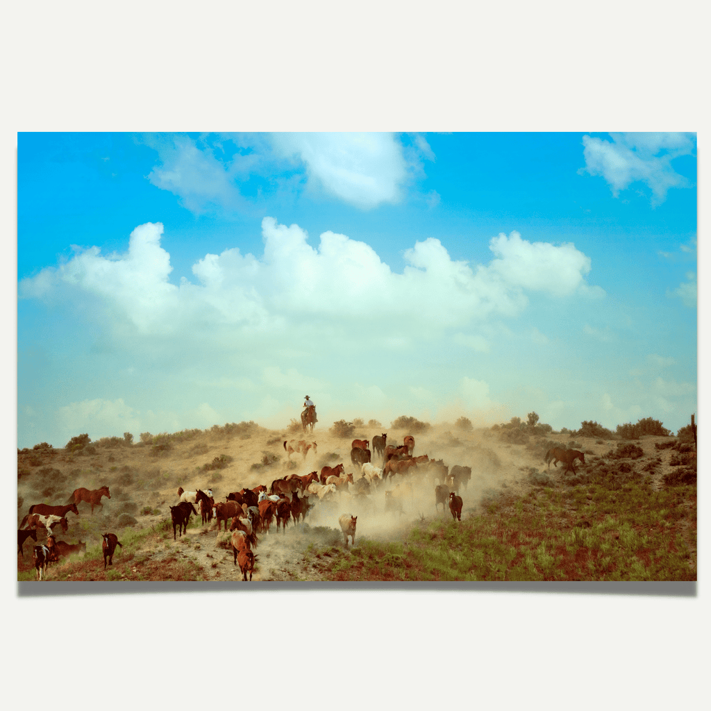 FIne art color photograph by Andy Anderson of cowboys and horse roundup in the west